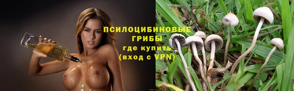 прущая мука Няндома