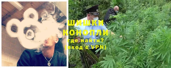 соль ск Осинники