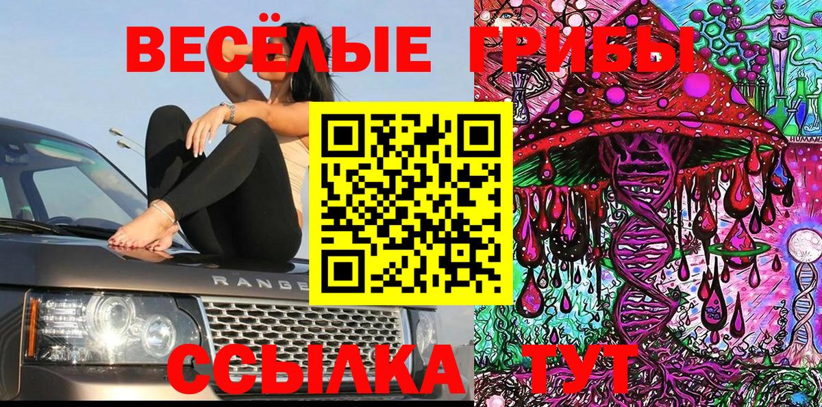 Сальск  Галлюциногенные грибы прущие грибы  Вход с VPN  Галлюциногенные грибы Cubensis 